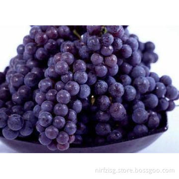 Health Currant Fresh Purple Grapes 23mm with Haccp , Global